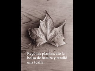 Regó las plantas, ató la bolsa de basura y tendió una toalla.   