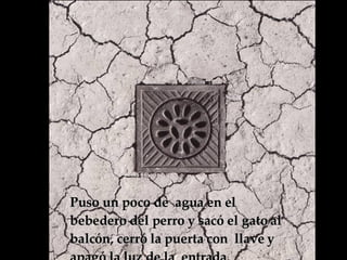 Puso un poco de  agua en el bebedero del perro y sacó el gato al balcón, cerró la puerta con  llave y apagó la luz de la  entrada.  