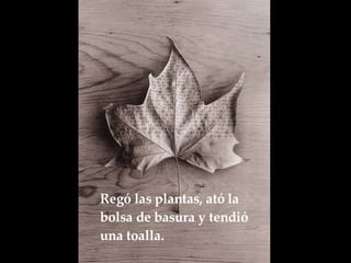 Regó las plantas, ató la bolsa de basura y tendió una toalla.   