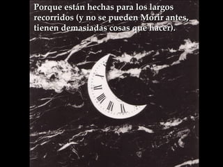 Porque están hechas para los largos recorridos (y no se pueden Morir antes, tienen demasiadas cosas que hacer).  