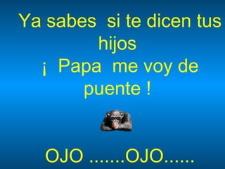 Ya sabes  si te dicen tus hijos  ¡  Papa  me voy de puente !  OJO .......OJO...... 