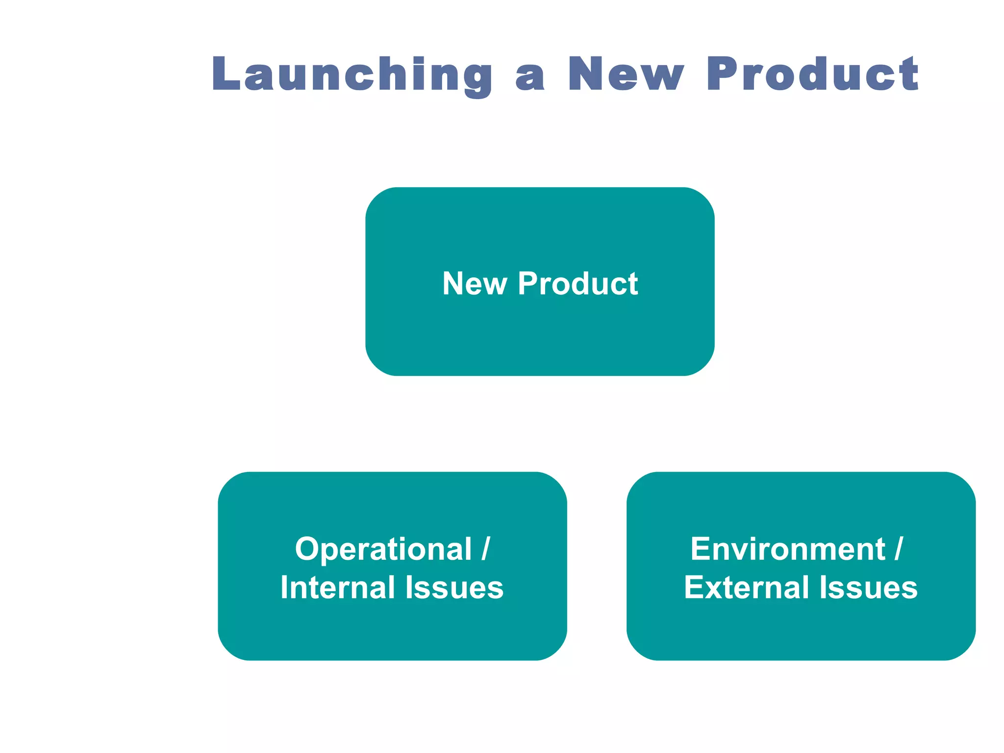 Launching a New Product

New Product

Operational /
Internal Issues

Environment /
External Issues

 