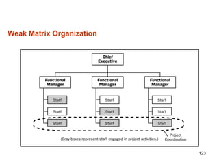 123
Weak Matrix Organization
 