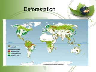 Deforestation 