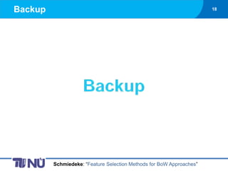 Backup                                                                18




         Schmiedeke: “Feature Selection Methods for BoW Approaches”
 