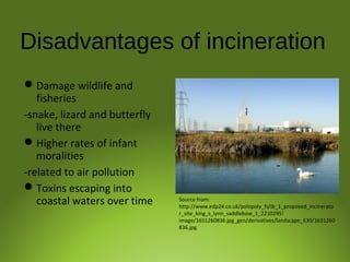 Disadvantages of incineration
Damage wildlife and
fisheries
-snake, lizard and butterfly
live there
Higher rates of infant
moralities
-related to air pollution
Toxins escaping into
coastal waters over time Source from:
http://www.edp24.co.uk/polopoly_fs/ib_1_proposed_incinerato
r_site_king_s_lynn_saddlebow_1_2210295!
image/1631260836.jpg_gen/derivatives/landscape_630/1631260
836.jpg
 