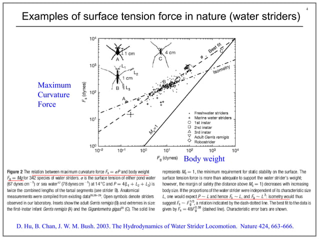 Molecular origin of surface tension at liquid-vapor interfaces | PDF ...