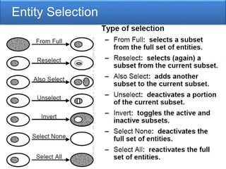Entity Selection
 
