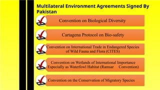 Comprehensive Overview of Multilateral Environmental Agreements (MEAs ...