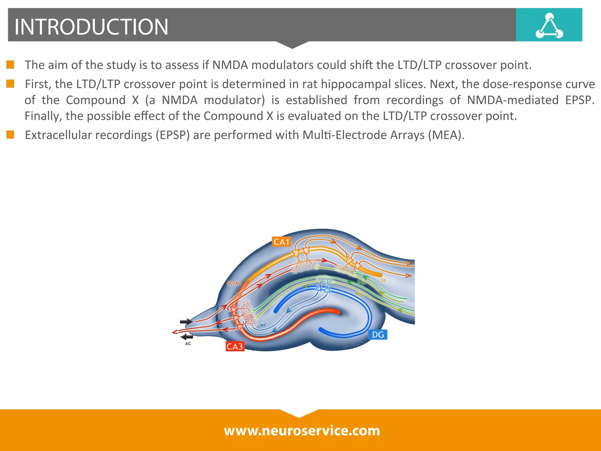 INTRODUCTION 
The 
aim 
of 
the 
study 
is 
to 
assess 
if 
NMDA 
modulators 
could 
shiI 
the 
LTD/LTP 
crossover 
point. 
First, 
the 
LTD/LTP 
crossover 
point 
is 
determined 
in 
rat 
hippocampal 
slices. 
Next, 
the 
dose-­‐response 
curve 
of 
the 
Compound 
X 
(a 
NMDA 
modulator) 
is 
established 
from 
recordings 
of 
NMDA-­‐mediated 
EPSP. 
Finally, 
the 
possible 
effect 
of 
the 
Compound 
X 
is 
evaluated 
on 
the 
LTD/LTP 
crossover 
point. 
Extracellular 
recordings 
(EPSP) 
are 
performed 
with 
Mul*-­‐Electrode 
Arrays 
(MEA). 
www.neuroservice.com 
 