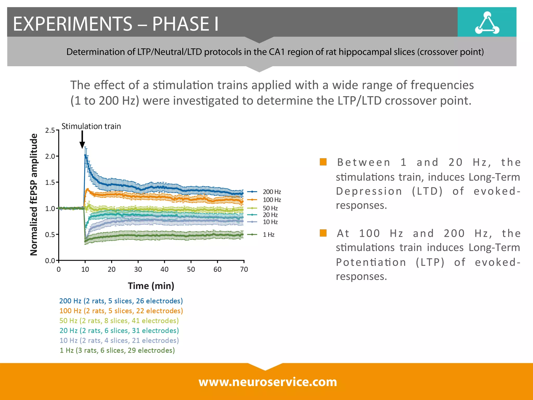 EXPERIMENTS – PHASE I 
Determination of LTP/Neutral/LTD protocols in the CA1 region of rat hippocampal slices (crossover point) 
The 
effect 
of 
a 
s*mula*on 
trains 
applied 
with 
a 
wide 
range 
of 
frequencies 
(1 
to 
200 
Hz) 
were 
inves*gated 
to 
determine 
the 
LTP/LTD 
crossover 
point. 
Between 
1 
and 
20 
H z , 
the 
s*mula*ons 
train, 
induces 
Long-­‐Term 
Depression 
(LTD) 
of 
evoked-­‐ 
responses. 
At 
100 
Hz 
and 
200 
Hz, 
the 
s*mula*ons 
train 
induces 
Long-­‐Term 
Poten*a*on 
(LTP) 
of 
evoked-­‐ 
responses. 
www.neuroservice.com 
 