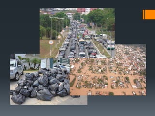 Syntropic Cities