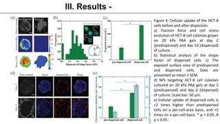 Figure 4. Cellular uptake of the HCT-8
cells before and after dispersion.
a) Traction force and cell stress
evolution of HCT-8 cell colonies grown
on 20 kPa PAA gels at day 2
(predispersed) and day 10 (dispersed)
of culture.
b) Statistical analysis of the shape
factor of dispersed cells. c) The
exposed surface area of predispersed
and dispersed cells. Data are
presented as mean ± SEM.
d) NPs targeting HCT-8 cell colonies
cultured on 20 kPa PAA gels at day 2
(predispersed) and day 6 (dispersed)
of culture. Scale bar: 50 μm.
e) Cellular uptake of dispersed cells is
≈2 times higher than predispersed
cells on a per-cell-area basis, and ≈5
times on a per-cell basis. * p < 0.05; #
p < 0.05. 11
 