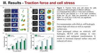 Figure 1. Traction force and cell stress for cells
cultured on PAA hydrogels of different stiffness.
a,c) Individual HeLa cells (n > 8 for each condition);
b,d) HCT-8 cell colonies (n > 5 for each condition).
Scale bar: 50 μm. Data are presented as mean ±
SEM. * p < 0.05; # p < 0.05; N.S. (no significant
difference) p > 0.05.
For nonmetastatic cells (HeLa), stiff hydrogels
induce high cell stress as well as exposed
surface area.
Upon prolonged culture on relatively stiff
hydrogels, HCT-8 cells undergo in vitro
metastasis and malignant transformation. It
results in increased exposed surface area and
reduced cell stress.
6
 