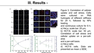 Figure 3. Correlation of cellular
uptake and cell stress. Cells
were cultured on PAA
hydrogels of different stiffness
for 24 h, followed by NPs
loading
and continuous culture for 8 h.
a) HeLa, scale bar: 25 μm;
b) HCT-8, scale bar: 50 μm.
Correlation of cell stress and
cellular uptake on a per-cell-
area
and a per-cell basis:
c) HeLa cells;
d) HCT-8 cells. Data are
presented as mean ± SEM.
9
 
