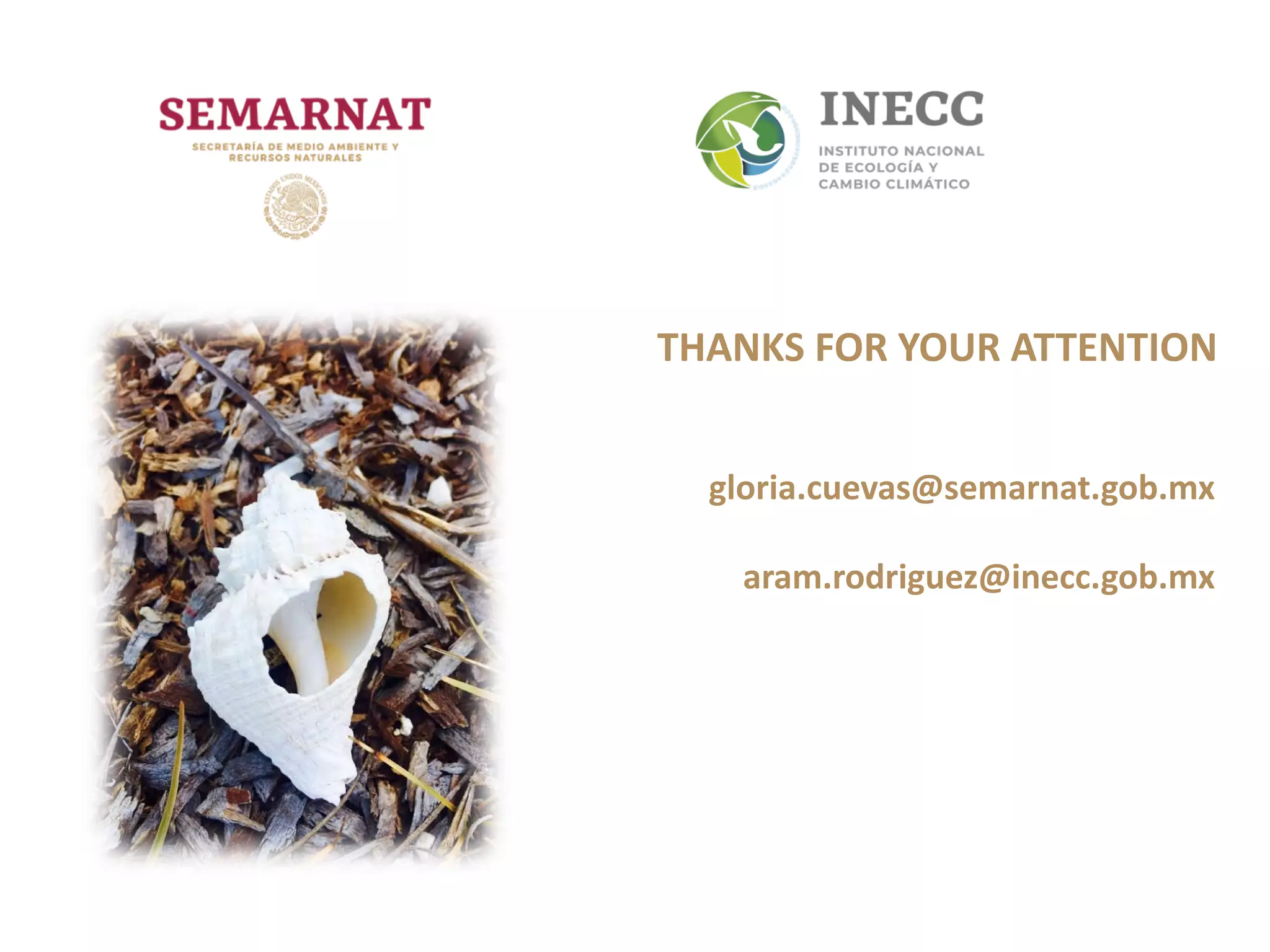 Slide 10