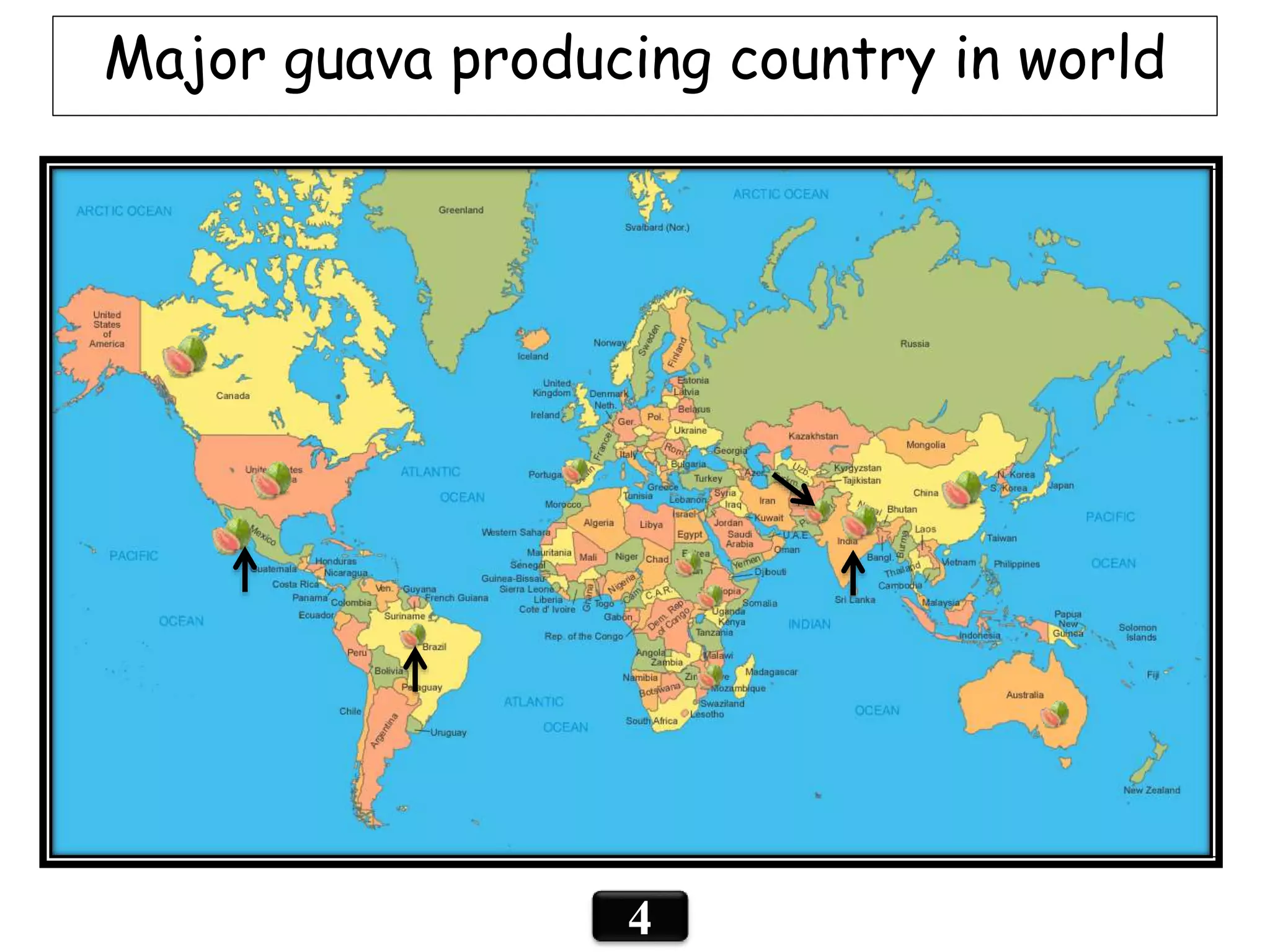 Guava Native Map Meadow orchrad in_guava | PPTX
