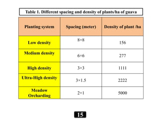 Planting system Spacing (meter) Density of plant /ha
Low density
8×8
156
Medium density
6×6 277
High density 3×3 1111
Ultra-High density
3×1.5 2222
Meadow
Orcharding
2×1 5000
Table 1. Different spacing and density of plants/ha of guava
15
 