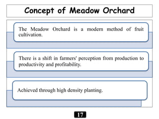 The Meadow Orchard is a modern method of fruit
cultivation.
There is a shift in farmers' perception from production to
productivity and profitability.
Achieved through high density planting.
Concept of Meadow Orchard
17
 