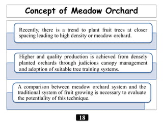 Recently, there is a trend to plant fruit trees at closer
spacing leading to high density or meadow orchard.
Higher and quality production is achieved from densely
planted orchards through judicious canopy management
and adoption of suitable tree training systems.
A comparison between meadow orchard system and the
traditional system of fruit growing is necessary to evaluate
the potentiality of this technique.
Concept of Meadow Orchard
18
 
