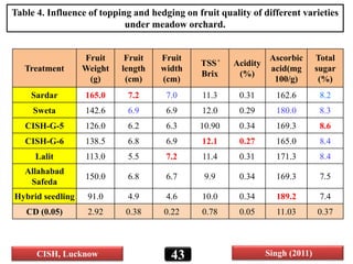 Treatment
Fruit
Weight
(g)
Fruit
length
(cm)
Fruit
width
(cm)
TSS ̊
Brix
Acidity
(%)
Ascorbic
acid(mg
100/g)
Total
sugar
(%)
Sardar 165.0 7.2 7.0 11.3 0.31 162.6 8.2
Sweta 142.6 6.9 6.9 12.0 0.29 180.0 8.3
CISH-G-5 126.0 6.2 6.3 10.90 0.34 169.3 8.6
CISH-G-6 138.5 6.8 6.9 12.1 0.27 165.0 8.4
Lalit 113.0 5.5 7.2 11.4 0.31 171.3 8.4
Allahabad
Safeda
150.0 6.8 6.7 9.9 0.34 169.3 7.5
Hybrid seedling 91.0 4.9 4.6 10.0 0.34 189.2 7.4
CD (0.05) 2.92 0.38 0.22 0.78 0.05 11.03 0.37
43
Table 4. Influence of topping and hedging on fruit quality of different varieties
under meadow orchard.
Singh (2011)CISH, Lucknow
 