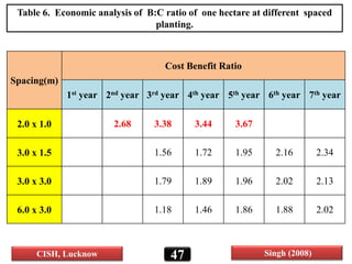 47
Spacing(m)
Cost Benefit Ratio
1st year 2nd year 3rd year 4th year 5th year 6th year 7th year
2.0 x 1.0 2.68 3.38 3.44 3.67
3.0 x 1.5 1.56 1.72 1.95 2.16 2.34
3.0 x 3.0 1.79 1.89 1.96 2.02 2.13
6.0 x 3.0 1.18 1.46 1.86 1.88 2.02
CISH, Lucknow Singh (2008)
Table 6. Economic analysis of B:C ratio of one hectare at different spaced
planting.
47
 