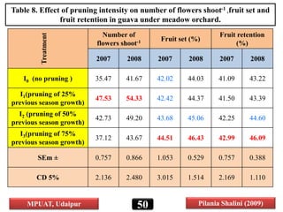 Treatment
Number of
flowers shoot-1 Fruit set (%)
Fruit retention
(%)
2007 2008 2007 2008 2007 2008
I0 (no pruning ) 35.47 41.67 42.02 44.03 41.09 43.22
I1(pruning of 25%
previous season growth)
47.53 54.33 42.42 44.37 41.50 43.39
I2 (pruning of 50%
previous season growth)
42.73 49.20 43.68 45.06 42.25 44.60
I3(pruning of 75%
previous season growth)
37.12 43.67 44.51 46.43 42.99 46.09
SEm ± 0.757 0.866 1.053 0.529 0.757 0.388
CD 5% 2.136 2.480 3.015 1.514 2.169 1.110
Table 8. Effect of pruning intensity on number of flowers shoot-1 ,fruit set and
fruit retention in guava under meadow orchard.
50MPUAT, Udaipur Pilania Shalini (2009)
 