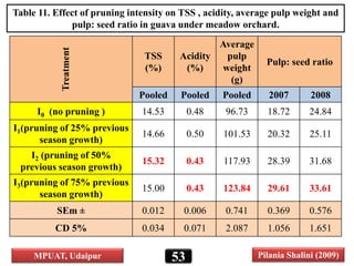 Table 11. Effect of pruning intensity on TSS , acidity, average pulp weight and
pulp: seed ratio in guava under meadow orchard.
Treatment
TSS
(%)
Acidity
(%)
Average
pulp
weight
(g)
Pulp: seed ratio
Pooled Pooled Pooled 2007 2008
I0 (no pruning ) 14.53 0.48 96.73 18.72 24.84
I1(pruning of 25% previous
season growth)
14.66 0.50 101.53 20.32 25.11
I2 (pruning of 50%
previous season growth)
15.32 0.43 117.93 28.39 31.68
I3(pruning of 75% previous
season growth)
15.00 0.43 123.84 29.61 33.61
SEm ± 0.012 0.006 0.741 0.369 0.576
CD 5% 0.034 0.071 2.087 1.056 1.651
53MPUAT, Udaipur Pilania Shalini (2009)
 