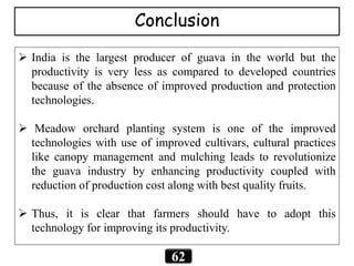 Conclusion
62
 India is the largest producer of guava in the world but the
productivity is very less as compared to developed countries
because of the absence of improved production and protection
technologies.
 Meadow orchard planting system is one of the improved
technologies with use of improved cultivars, cultural practices
like canopy management and mulching leads to revolutionize
the guava industry by enhancing productivity coupled with
reduction of production cost along with best quality fruits.
 Thus, it is clear that farmers should have to adopt this
technology for improving its productivity.
 