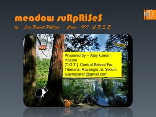 meadow suRpRiSeS
by – Lois Brandt Phillips - Class – VII –C.B.S.E.




                         Prepared by – Ajay kumar
                         Hazare
                         [T.G.T.] Central School For
                         Tibetans, Ravangla ,S. Sikkim
                         ajayhazare1@gmail.com
 
