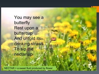 You may see a
        butterfly
        Rest upon a
        buttercup
        And unfold its
        drinking straws
        To sip the
        nectar up


NECTAR = a sweet fluid produced by flower
 
