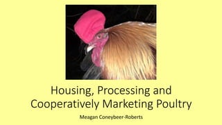 Housing, Processing and
Cooperatively Marketing Poultry
Meagan Coneybeer-Roberts
 
