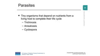 Comprehensive Food Sanitation Practices for Safe Food Handling and ...
