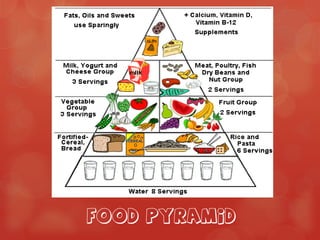 Food Pyramid
 