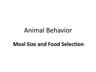 Animal Behavior
Meal Size and Food Selection
 