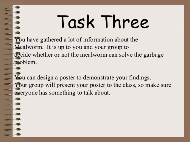 Mealworm Webquest