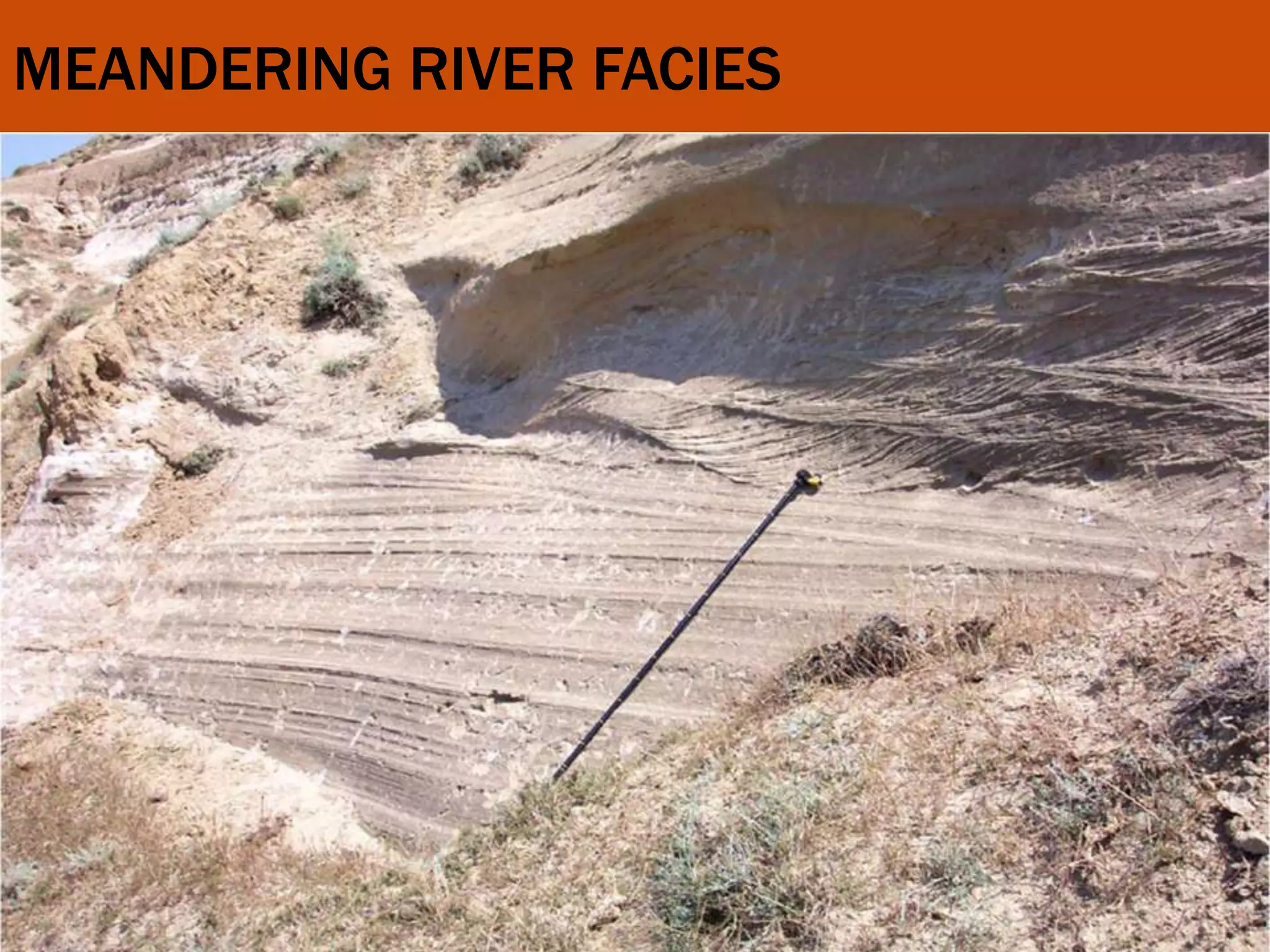 MEANDERING RIVER FACIES
 