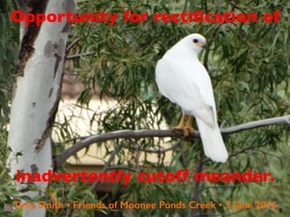 Opportunity for rectiﬁcation of
inadvertently cutoff meander.
Tony Smith • Friends of Moonee Ponds Creek • 3 June 2016
 
