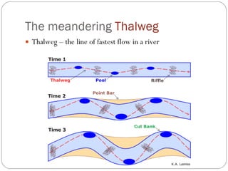 The meandering  Thalweg Thalweg – the line of fastest flow in a river 