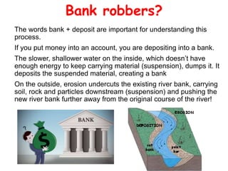 Bank robbers?
The words bank + deposit are important for understanding this
process.
If you put money into an account, you are depositing into a bank.
The slower, shallower water on the inside, which doesn’t have
enough energy to keep carrying material (suspension), dumps it. It
deposits the suspended material, creating a bank
On the outside, erosion undercuts the existing river bank, carrying
soil, rock and particles downstream (suspension) and pushing the
new river bank further away from the original course of the river!
 
