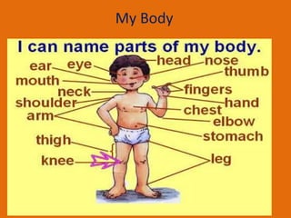 My Body
 