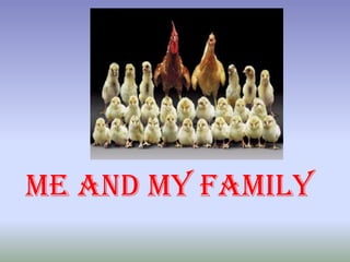 Me And My Family 