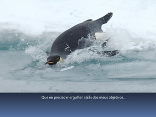 Que eu preciso mergulhar atrás dos meus objetivos...
 