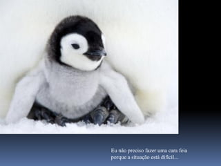 Eu não preciso fazer uma cara feia
porque a situação está difícil...
 