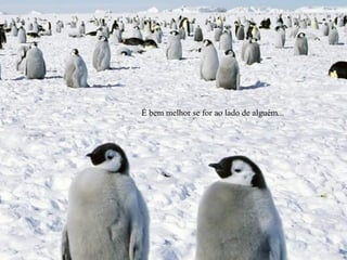 É bem melhor se for ao lado de alguém...
 