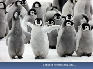 Com quem possamos nos divertir...
 
