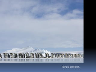 Sair pra caminhar...
 