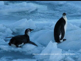 Alguém com quem crescer junto e explorar o mundo...
 