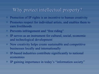 Meaning and scope intellectual property rights Slide 8