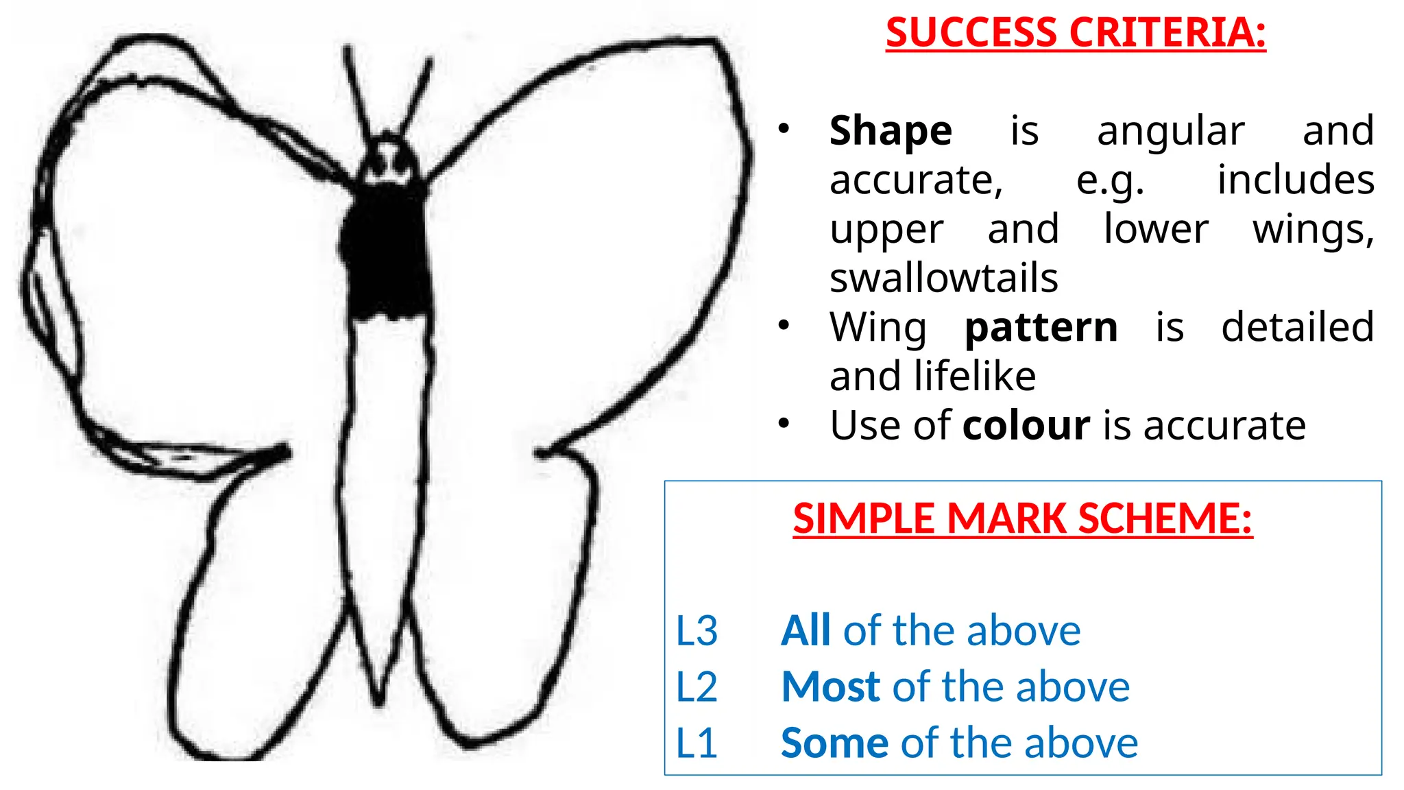 SUCCESS CRITERIA:
• Shape is angular and
accurate, e.g. includes
upper and lower wings,
swallowtails
• Wing pattern is detailed
and lifelike
• Use of colour is accurate
SIMPLE MARK SCHEME:
L3 All of the above
L2 Most of the above
L1 Some of the above
 